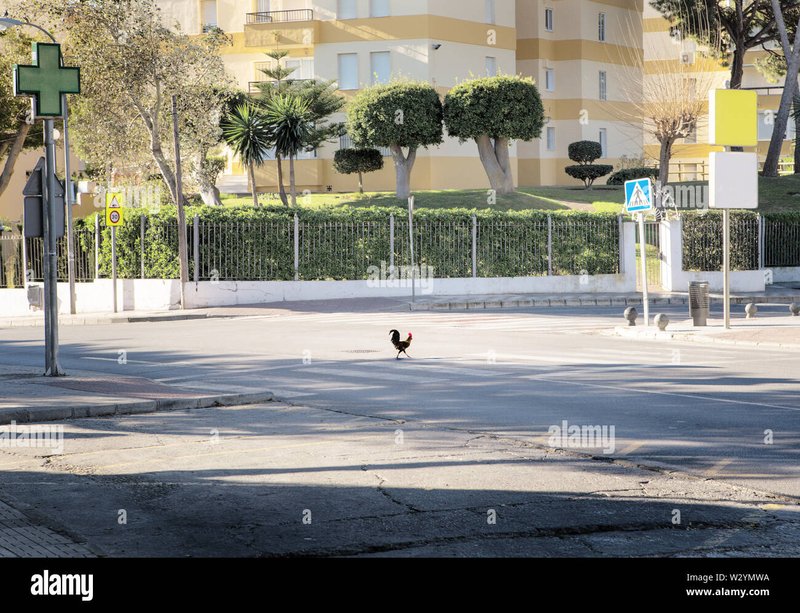 Descubre el Exclusivo Juego de Casino Chicken Road en España Actualizado